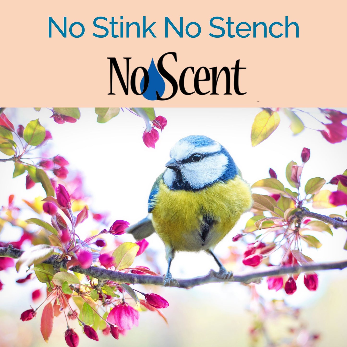 No Scent Bird Cage Cleaner Spray, Natural Aviary Freshener for Poop, Droppings, Urine & Secretions