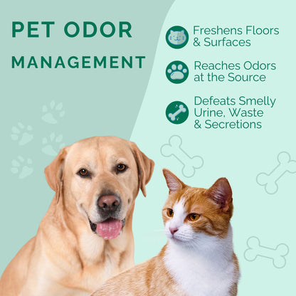 No Scent Crate Kennel & Floor Cleaner for Dog Run, Cat Carrier, Hard Surface Pet Odor & Stain Management