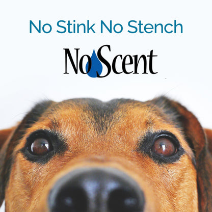 No Scent Anal Gland Express & Skunk Spray Pet Odor Eliminator & Cleaner - MindEyes USA